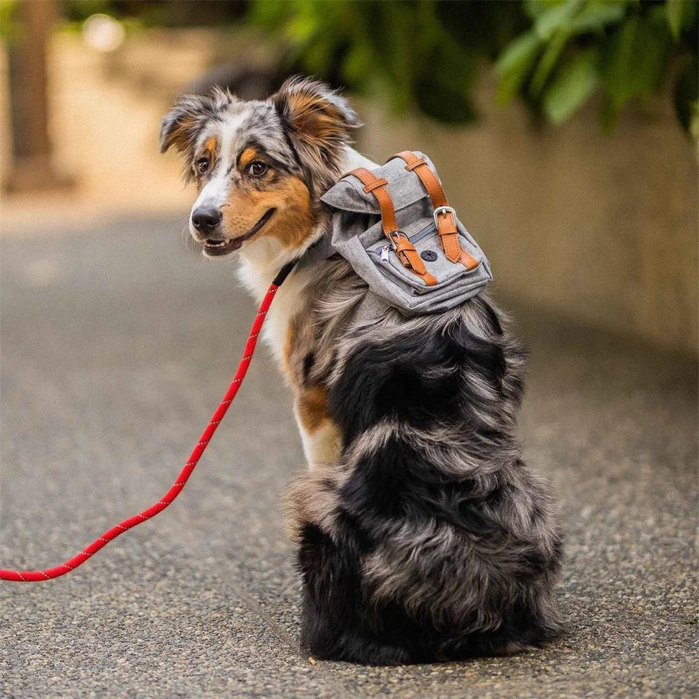 French Bulldog Backpack