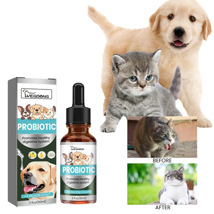 Pet Probiotics Supplement Regulate Gastrointestinal Vomiting Protect Stomach Health Enhance Physical Fitness Dog Digestive Drop