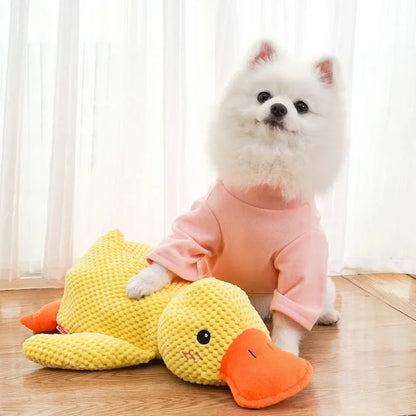 Calming Duck Toy