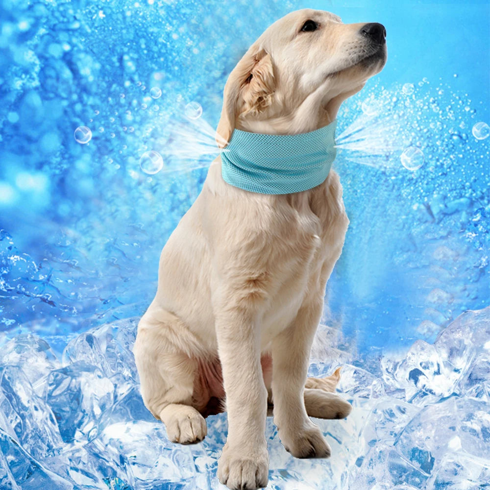 French Bulldog Cooling Dog Scarf