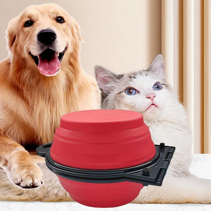 Portable 2in1 Dog Bowl - Foldable