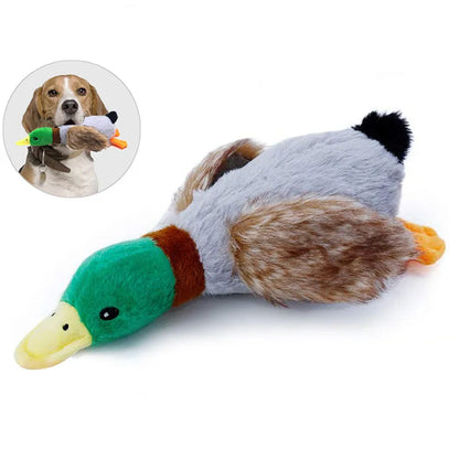 Honky And Squeaky Plush Duck Toy