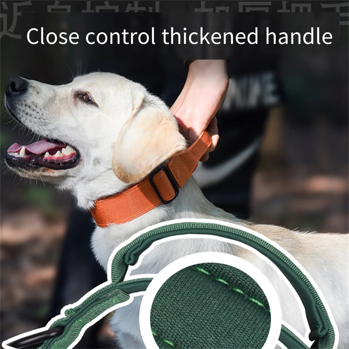 Durable Tactical Dog Collar