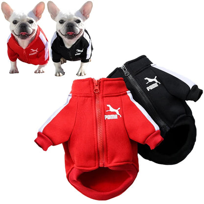 Dog Winter Jacket