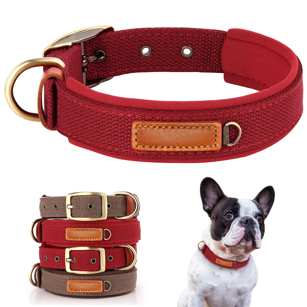 Adjustable Nylon Soft Padded Dog Collar For French Bulldog