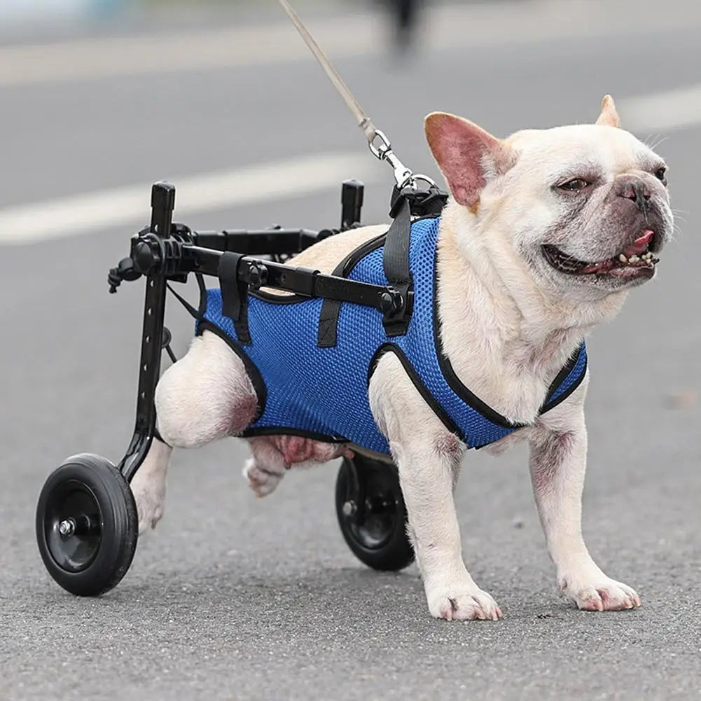 French Bulldog Disability Rehabilitation Aid  Adjustable Pet Walk Booster