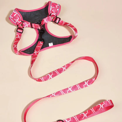 Dog Harness Leash Set