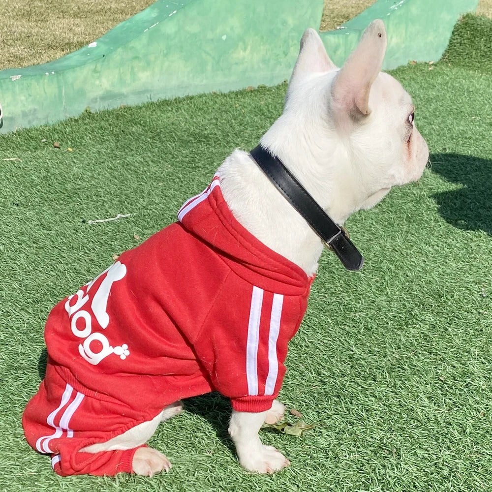 Stylish Dog Hoodie