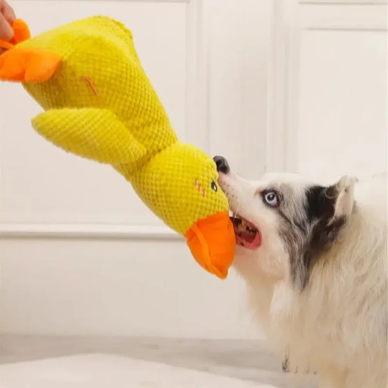 Calming Duck Toy