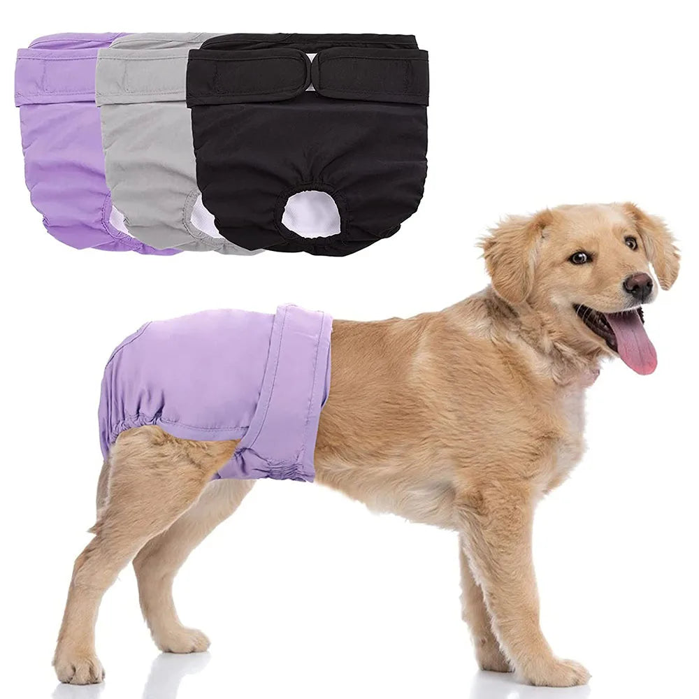 Re-usable Female Dog Pants