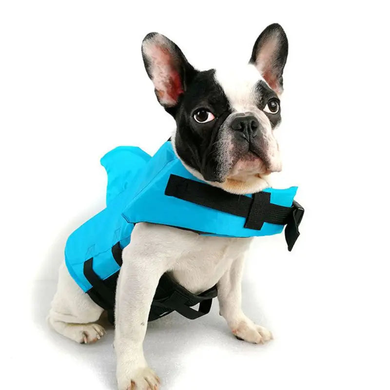 French Bulldog Life Jacket