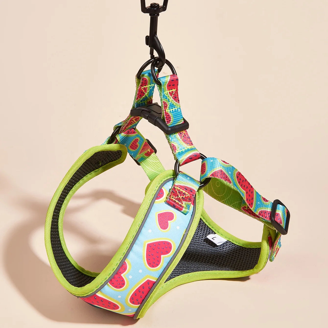 Dog Harness Leash Set