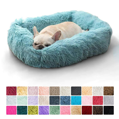 French Bulldog Plush Bed