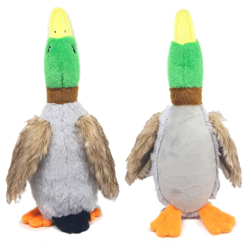 Honky And Squeaky Plush Duck Toy