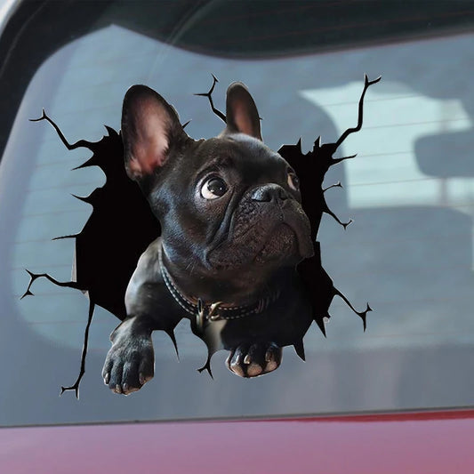 Frenchie Car Sticker