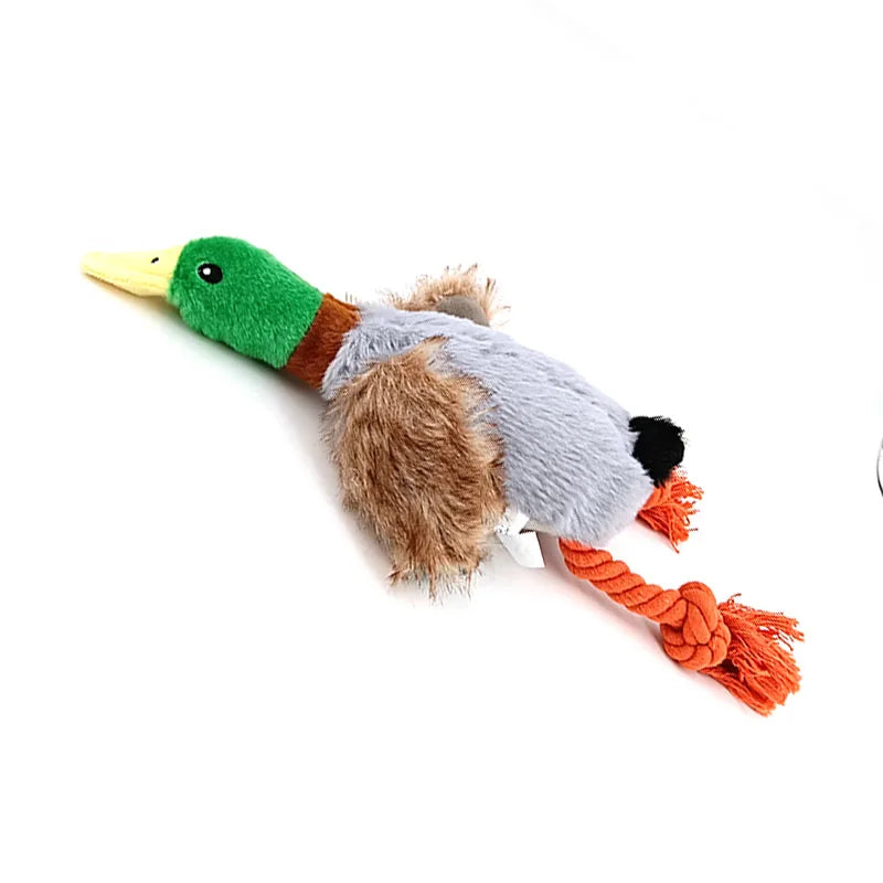 Honky And Squeaky Plush Duck Toy