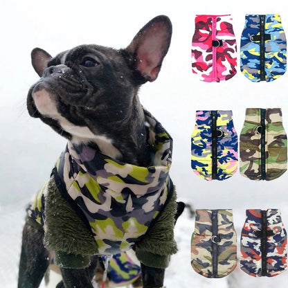 French Bulldog Waterproof Winter Jacket