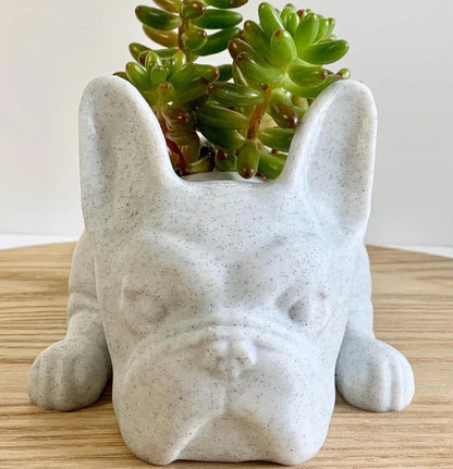 French Bulldog Planter