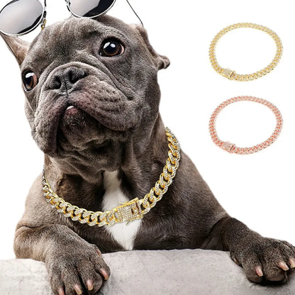 French Bulldog  Gold Dog Chain