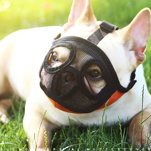 French Bulldog Adjustable Breathable Dog Muzzle