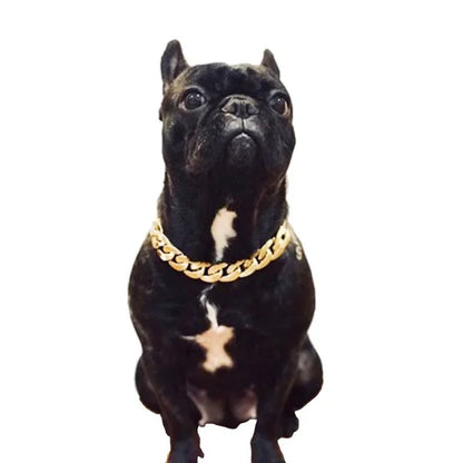 French Bulldog Neck Chain